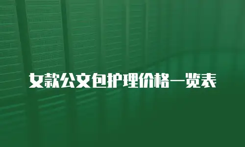 女款公文包护理价格一览表