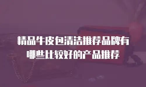 精品牛皮包清洁推荐品牌有哪些比较好的产品推荐