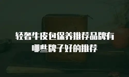 轻奢牛皮包保养推荐品牌有哪些牌子好的推荐