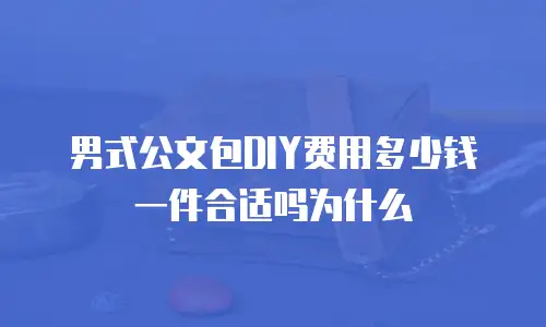 男式公文包DIY费用多少钱一件合适吗为什么