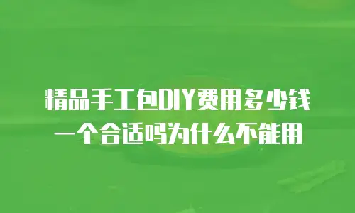 精品手工包DIY费用多少钱一个合适吗为什么不能用