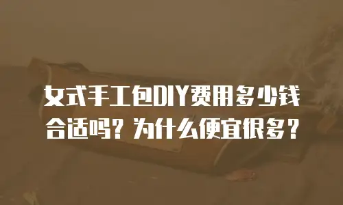 女式手工包DIY费用多少钱合适吗？为什么便宜很多？