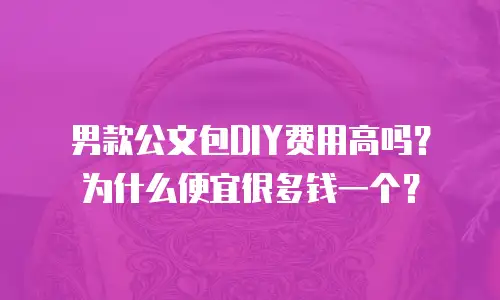 男款公文包DIY费用高吗？为什么便宜很多钱一个？