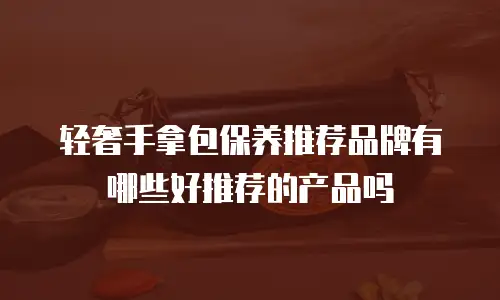 轻奢手拿包保养推荐品牌有哪些好推荐的产品吗
