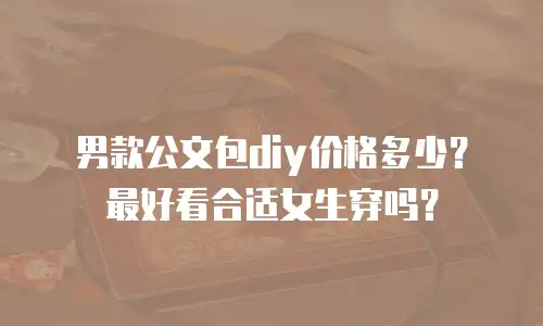 男款公文包diy价格多少？最好看合适女生穿吗？