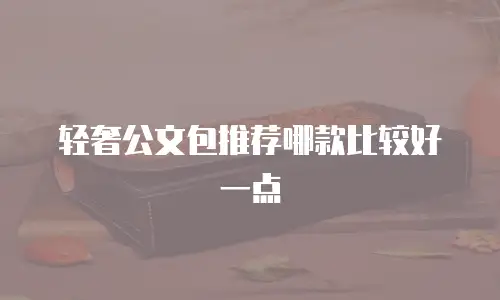 轻奢公文包推荐哪款比较好一点
