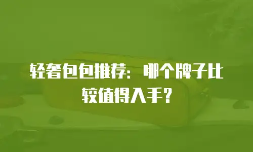 轻奢包包推荐：哪个牌子比较值得入手？