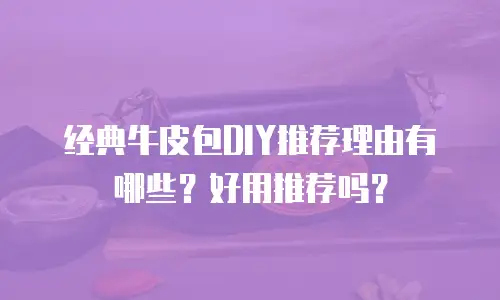 经典牛皮包DIY推荐理由有哪些？好用推荐吗？