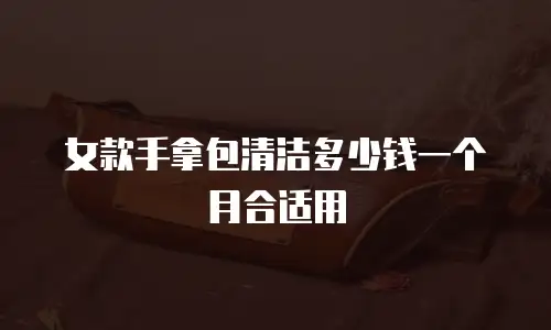 女款手拿包清洁多少钱一个月合适用