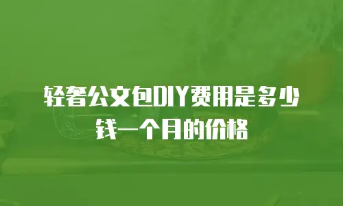 轻奢公文包DIY费用是多少钱一个月的价格