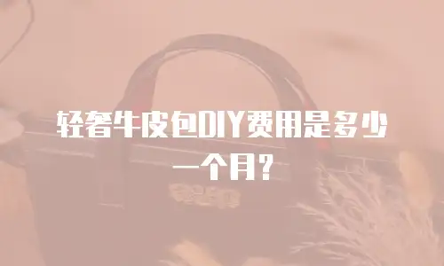 轻奢牛皮包DIY费用是多少一个月？