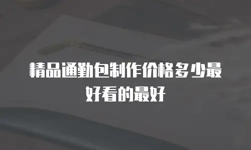 精品通勤包制作价格多少最好看的最好