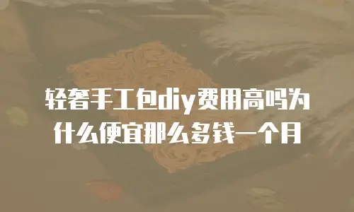 轻奢手工包diy费用高吗为什么便宜那么多钱一个月