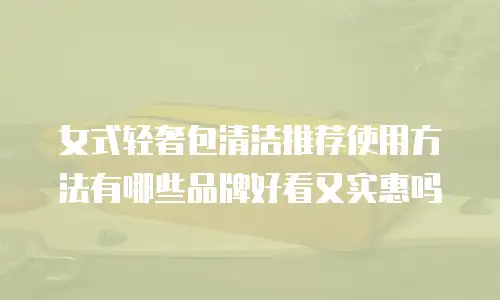 女式轻奢包清洁推荐使用方法有哪些品牌好看又实惠吗