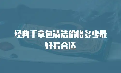 经典手拿包清洁价格多少最好看合适