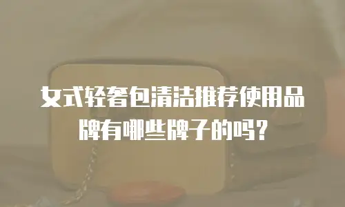 女式轻奢包清洁推荐使用品牌有哪些牌子的吗？