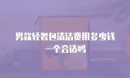 男款轻奢包清洁费用多少钱一个合适吗