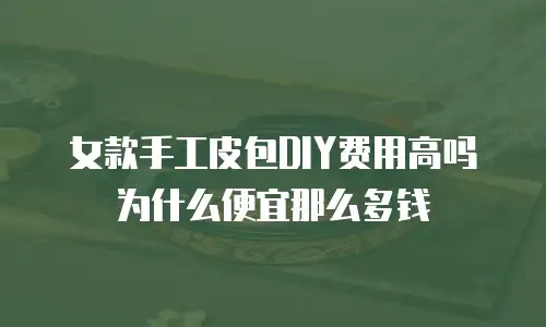 女款手工皮包DIY费用高吗为什么便宜那么多钱