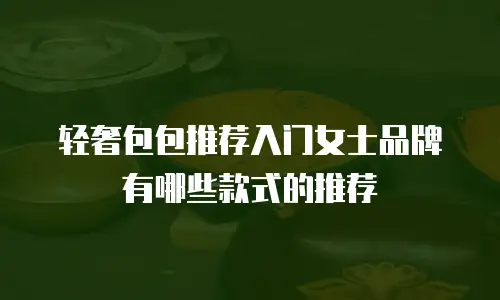 轻奢包包推荐入门女士品牌有哪些款式的推荐