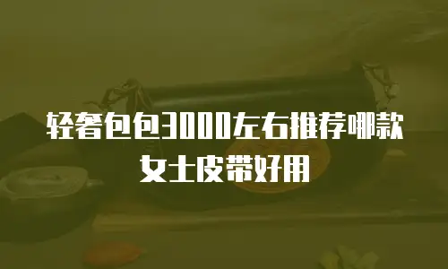 轻奢包包3000左右推荐哪款女士皮带好用