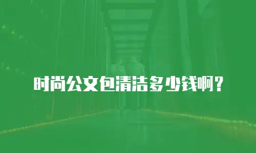 时尚公文包清洁多少钱啊？