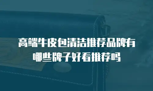 高端牛皮包清洁推荐品牌有哪些牌子好看推荐吗