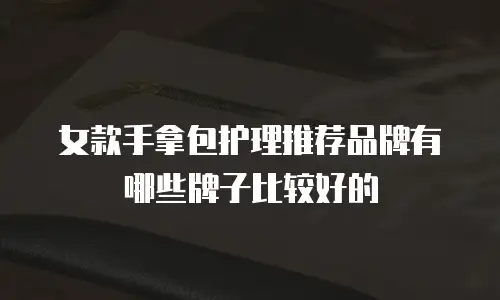 女款手拿包护理推荐品牌有哪些牌子比较好的