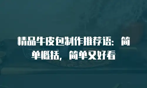 精品牛皮包制作推荐语：简单概括，简单又好看