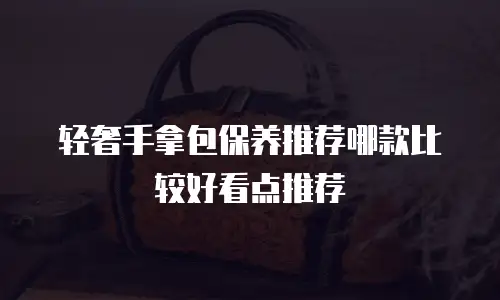 轻奢手拿包保养推荐哪款比较好看点推荐