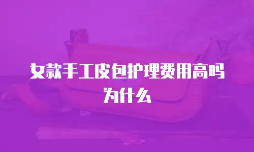 女款手工皮包护理费用高吗为什么