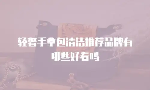 轻奢手拿包清洁推荐品牌有哪些好看吗