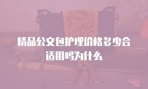 精品公文包护理价格多少合适用吗为什么