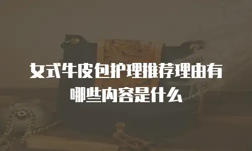 女式牛皮包护理推荐理由有哪些内容是什么