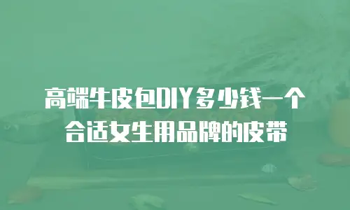 高端牛皮包DIY多少钱一个合适女生用品牌的皮带