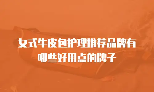 女式牛皮包护理推荐品牌有哪些好用点的牌子