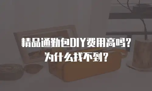 精品通勤包DIY费用高吗？为什么找不到？