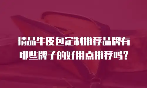 精品牛皮包定制推荐品牌有哪些牌子的好用点推荐吗？
