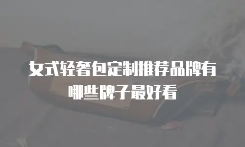 女式轻奢包定制推荐品牌有哪些牌子最好看