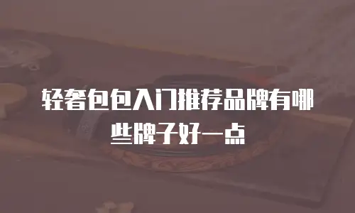 轻奢包包入门推荐品牌有哪些牌子好一点