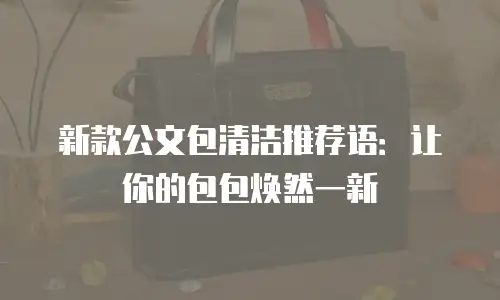 新款公文包清洁推荐语：让你的包包焕然一新