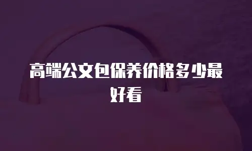 高端公文包保养价格多少最好看