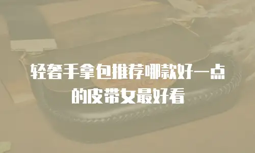 轻奢手拿包推荐哪款好一点的皮带女最好看
