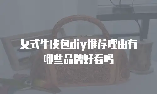 女式牛皮包diy推荐理由有哪些品牌好看吗