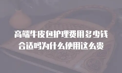 高端牛皮包护理费用多少钱合适吗为什么使用这么贵