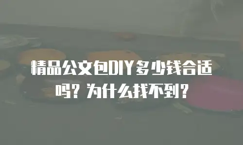 精品公文包DIY多少钱合适吗？为什么找不到？