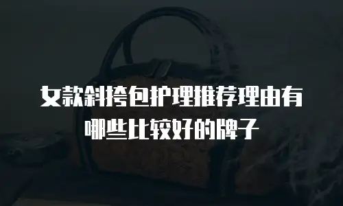 女款斜挎包护理推荐理由有哪些比较好的牌子