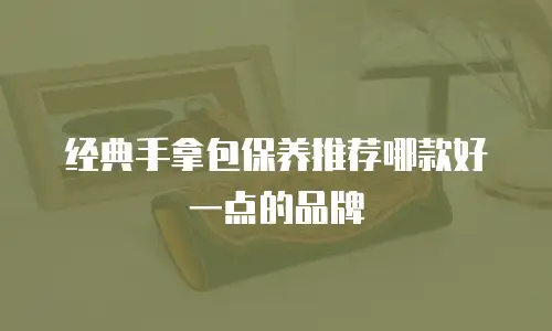 经典手拿包保养推荐哪款好一点的品牌