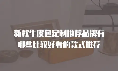 新款牛皮包定制推荐品牌有哪些比较好看的款式推荐