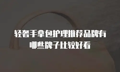 轻奢手拿包护理推荐品牌有哪些牌子比较好看