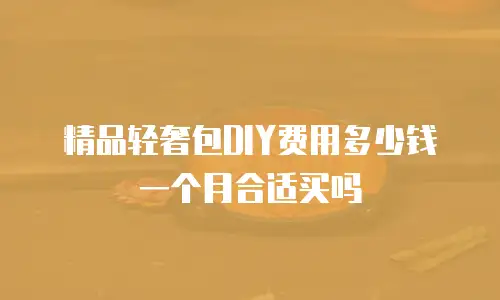 精品轻奢包DIY费用多少钱一个月合适买吗